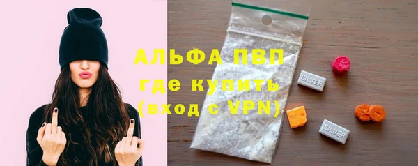 индика Осинники