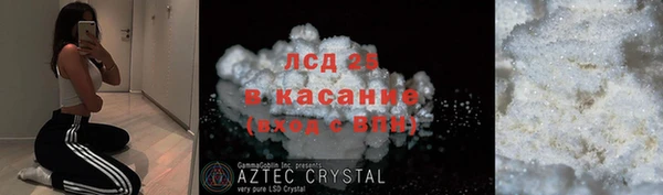 ПСИЛОЦИБИНОВЫЕ ГРИБЫ Осташков